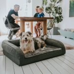 Hunter Livingston ortopéd kutyaszófa