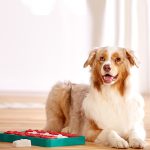 Dog Brick interaktív csemege kirakós kutyajáték