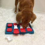 Dog Brick interaktív csemege kirakós kutyajáték