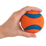 Chuckit! Ultra Ball – M méret