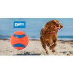 Chuckit! Ultra Ball – M méret