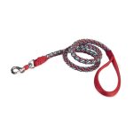 FONOTT REFLEXES, FOSZFORESZKÁLÓ VEZETŐPÓRÁZ - 4 MÉRETBEN – 5 SZÍNBEN