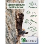 K9 InuFlex®