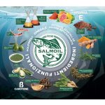 SALMOIL RICETTA 6 LAZACOLAJ - DAGANATOK, GYULLADÁS, IZÜLETEK KEZELÉSE
