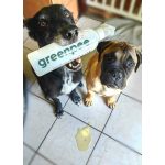 GreenPee 500ml Professzionális vizeletsemlegesítés organikus eljárással 