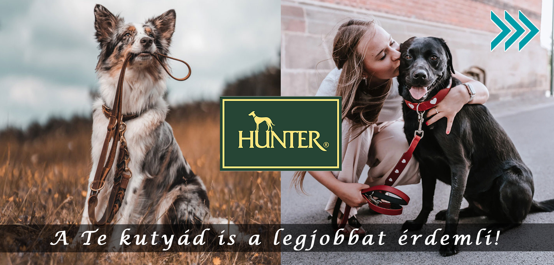 Hunter kutyás termékek