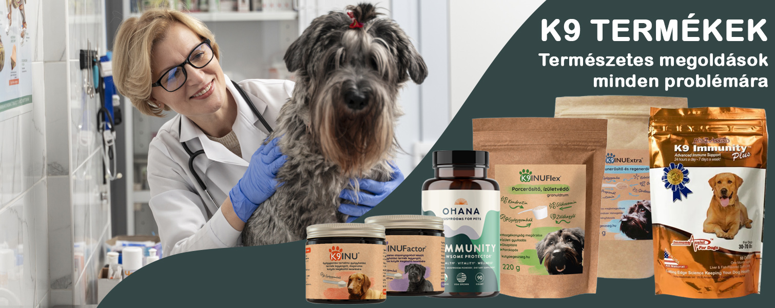 K9 kutyaegeszseg